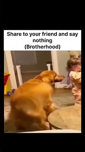 add an object for a cookie 🍪 ‪@v3spor‬ #trending #like #subscribe #makemefamous