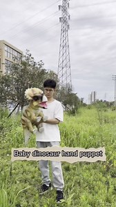 Hand Puppet Shipping Link