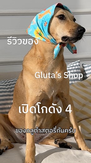 มาแล้วจ้า Merch ทั้งหมดของ Gluta Story ในเ#เปิดโกดัง4 #เปิดโกดัง4 | Gluta Story