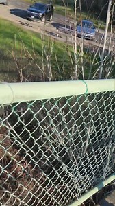 آب و هوای پاک، سرد و صمیمی با عارف و حشمت جانانه. | Hamayoun Ali Babur