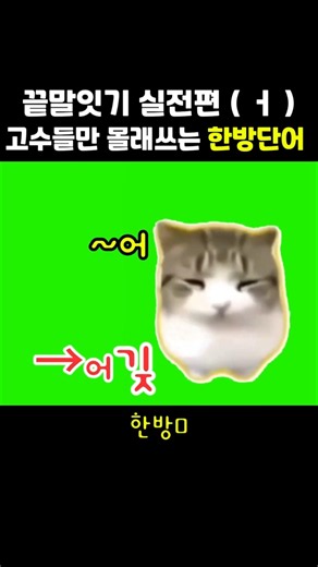고수들만 몰래 쓰는 (ㅓ) 끝말잇기 한방단어 (담담디디디디 버전) #땁이도사