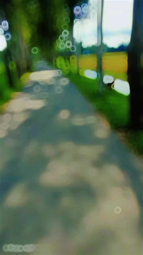 🌸Ruƿḱotħẫř Rẫĵḱoňňẫ🌸 (@mstsuborna52)’s videos with Ruby's Song (STEM bass) - Altitude Music / BMGPM