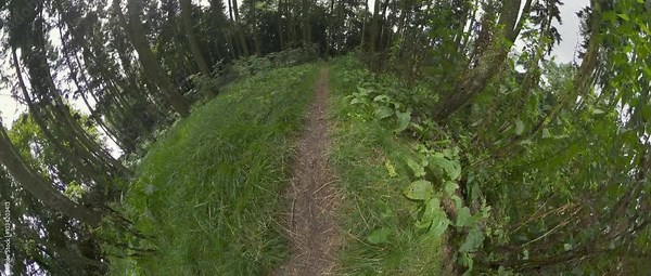 This is a first-person point-of-view video of a mountain biker riding through a lush green forest. The video is taken with a wide-angle lens, which gives the viewer a sense of the speed and immersion