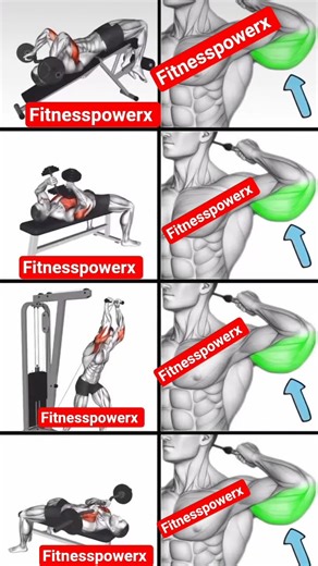 Tricep Workout | Best Exercises to Build Strong Arms