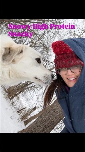 🍓31g High Protein Snack + High Fiber Bowl For GLP-1 Weight Loss #highprotein #highfiber #glp1