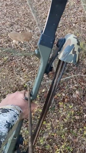 Missouri doe goes down quick #bowhunting #deer