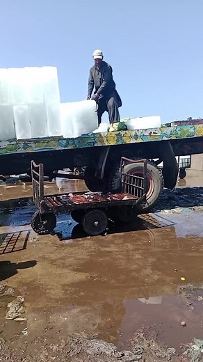 Loading Large Ice Blocks in Traditional Attire
