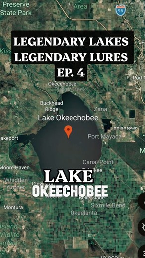 The #1 Lure For Giant Florida Bass! 🏆 (Lake Okeechobee)