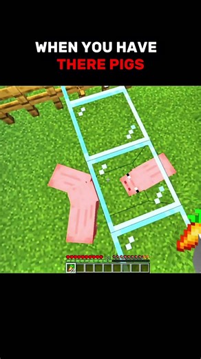 When you have 3 pigs🐷 #minecraft
