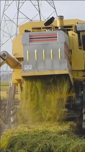 What Is USDA? United States Department of Agriculture Explained