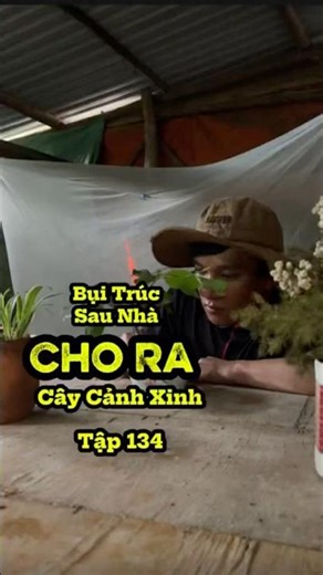 BỤI TRÚC BỎ HOANG HÓA CÂY CẢNH TẬP 134