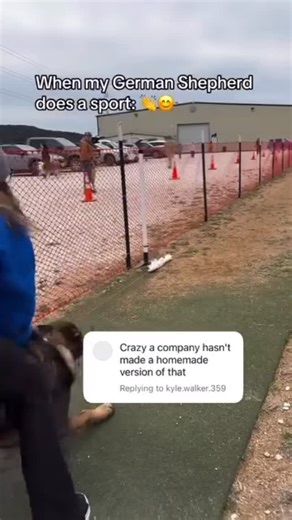 SwiftPaws | “Crazy a company hasn’t made a homemade version of that!”…👀 Oh, but we have🥰 Huge shoutout to @canineantics for showing off her pup’s need... | Instagram