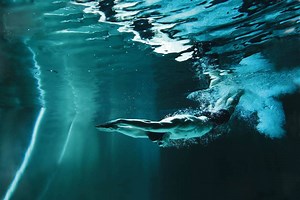 Richtige Technik mit dem Video-Kurs