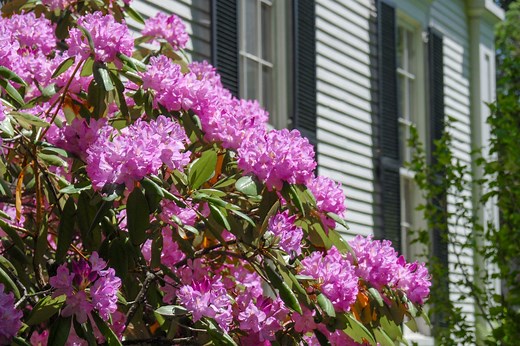 Try These 6 Budget-Friendly Landscaping Projects