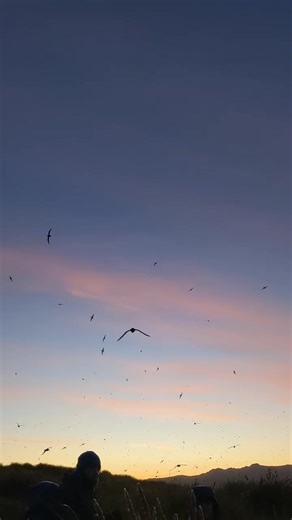 5.2K views · 218 reactions | The Falkland Islands really can give you...