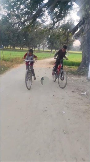 do log Mein Hui race