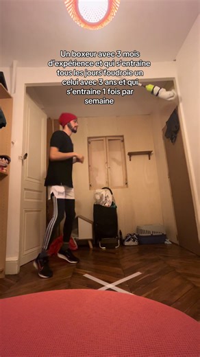 Boxe : L'Ascension Rapide d'un Boxeur de 3 Mois