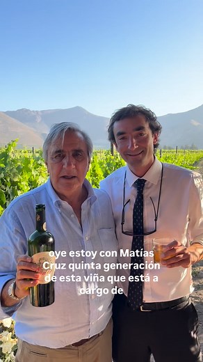 Muy buenos comentarios recibió nuestro vino “Oidor Gran Reserva del Fundador” en un matrimonio de la familia que se realizó en la misma viña🏔️. Te invitamos a probarlo! 🍷 #cabernetsauvignon #Granreserva #vinochileno #vinodeaconcagua #sanchezdeloria #panquehue #Sanroque #toursdevinos #valledeaconcagua #viñafamiliar #viñedo #matrimonio #carmenerepetitesyrah #Granreservadelfundador #Oidorgranreserva #oidorgranreservadelfundador #vinasanchezdeloria | Viña Sanchez de Loria