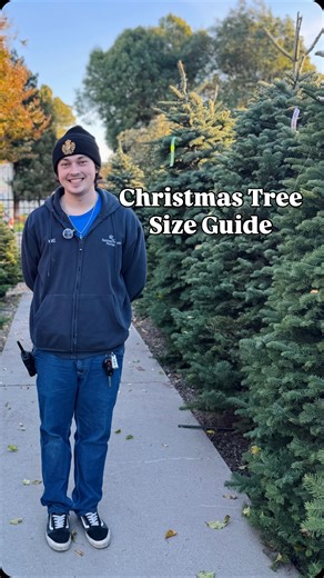 18 reactions | A quick guide on choosing the right size Christmas tree for your space.  Find your perfect fresh cut Christmas tree at one of our 5 Bay Area locations. ✨ | SummerWinds Nursery - CA | Facebook