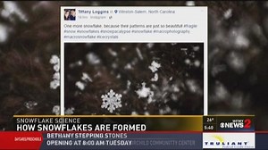 How Do Snowflakes Form? The Science Behind the Snow