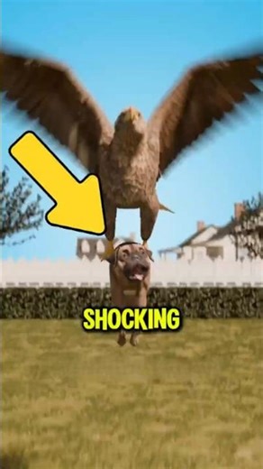 Top 3 Shocking Dog Inventions From History… The Last One Could Kill 😱🐶