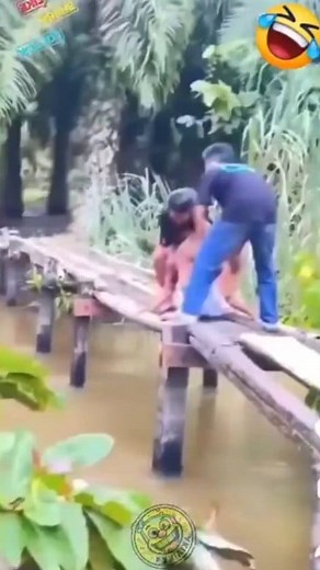 522K views · 12K reactions | Vibes videos compilation 藍 | Vibes Videos | Facebook