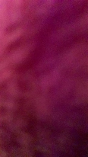 Big Boo vs Wario. | boo dog