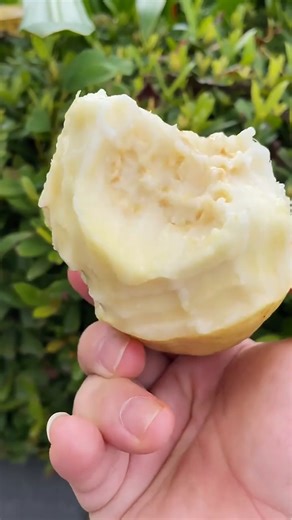 蓝易脆广西白心芭乐果园现摘现发珍珠白心番石榴新鲜芭乐果 广西白心珍珠芭乐 3斤小果 2两 较小 介意勿拍