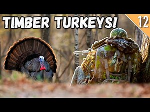 HARDWOODS TURKEY HUNTING in KENTUCKY! (Calling Setups for Success!!!)