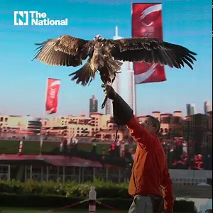 30K views · 1.6K reactions | The world’s tallest building, Burj Khalifa, turned 12. Here’s a look at some of the skyscraper’s most memorable moments bit.ly/3FYIvsz | The National | Facebook