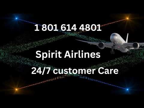 7_Ways to Access Spirit Airlines®™ Customer Service Phone Number Step by Step Expert Guide