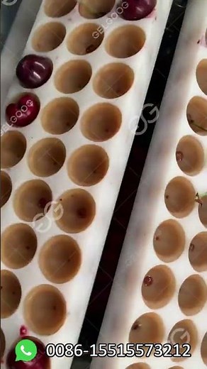 Automatic Fruit Cherry Pitting Machine