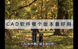CAD软件哪个版本最好用？今天就来探讨下