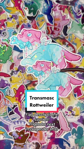 Trans Masc Flag: Understanding the Representation