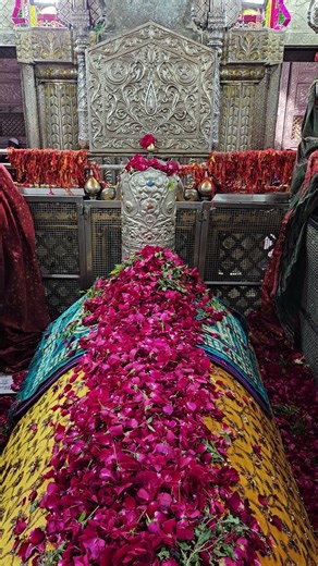 Saiyed Ali Mira Datar Sharif Ruhani llaaz Remove The Black Magic The Holy Shrine 📞9537443752 #shorts