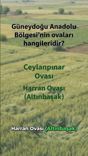 Güneydoğu Anadolu'nun 3 Büyük Ovası! - KPSS Coğrafya Hap Bilgiler 21 #kpss🌾