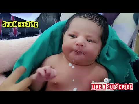 How to spoon feed|newborn baby| after (nicu) discharge