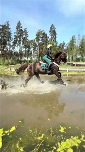 Cross country :) #horse #equestrian #horses #riding #eventing #crosscountry #fyp #jumping