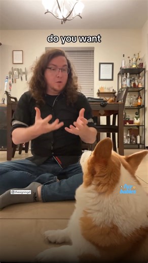 164K views · 3.7K reactions | This brilliant corgi taught herself sign language when her dad married someone deaf. ❤️ https://gma.abc/3VGR2sx | Good Morning America | Facebook