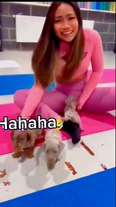 263 reactions · 4 comments | កុំលេងសាត្វខ្លាចវាខាំ  | ចែ ម៉ាលី | Facebook