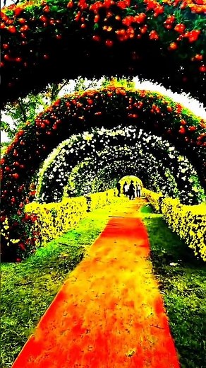 World’s Most Beautiful Flower Garden 🌸 A Visual Paradise #Shorts