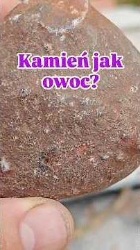 Kamień jak owoc?