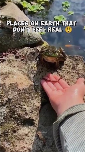 places On Earth That don't feel real/#travel#beautiful