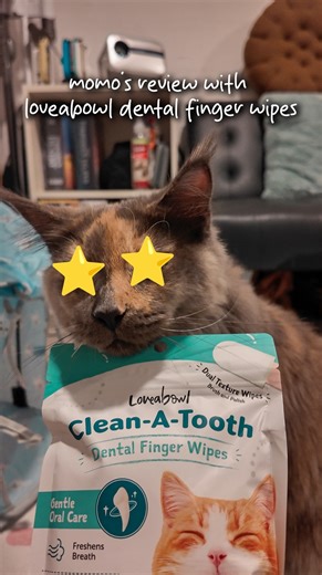 Momo ✿ | Thank you @loveabowlpets and @yappy_pets for sending over this new product!! We are alternating between brushing and using the wipes so... | Instagram