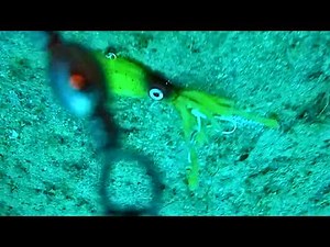 How to SETUP Lure Fishing Camera and AVOID Losing it!