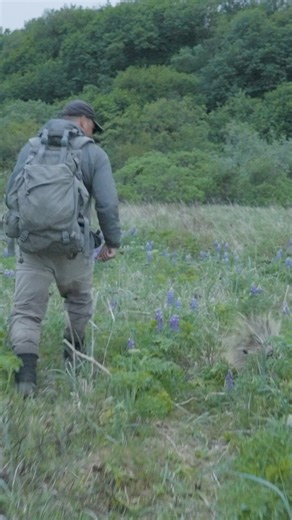 Have you ever encountered a porcupine in the wild? These fascinating creatures are truly unique and play an essential role in our ecosystem.Porcupines are famous for their sharp quills, which can number up to 30,000! These quills are not thrown but can detach easily when predators make contact, serving as a powerful defense mechanism.Porcupines are strict herbivores, feeding on a diet of leaves, twigs, and bark. In winter, they often turn to conifer needles and tree bark to survive.Though they m