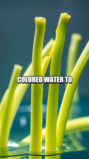 Five Safe Home Experiments You Can See in One Minute