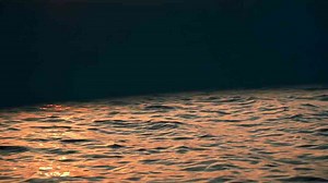 BEST and WORST of BALI! | What You NEED to Know!