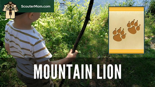 Mountain Lion Adventure for 2026: Free Resources