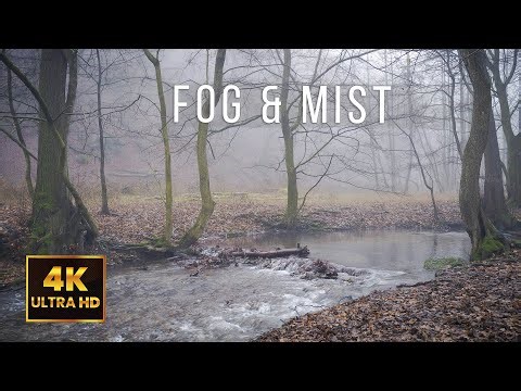 🌫️ Fog & Mist Ambience | Deep Forest Stream White Noise (No Music) | 10H | 4K UHD